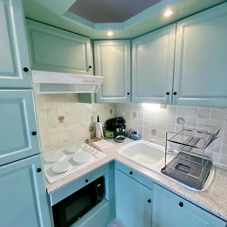 Le Belvedere Bleu Apartment